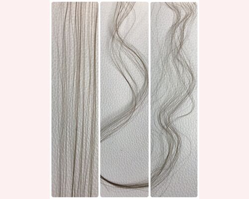 写真 2020-09-25 14 53 50